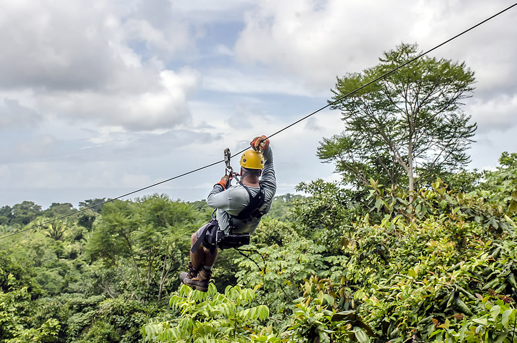 Zip line or canopy