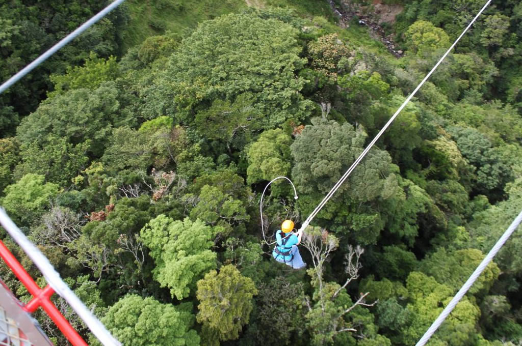 Group tour in the Monteverde Cloud Forest Reserve